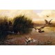 Duck Shooting By Arthur Fitzwilliam Tait - Art gallery oil painting reproductions