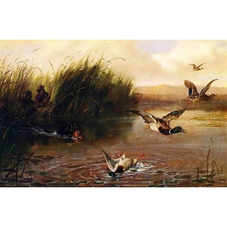 Duck Shooting  By Arthur Fitzwilliam Tait - Art gallery oil painting reproductions