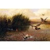 Duck Shooting  By Arthur Fitzwilliam Tait - Art gallery oil...