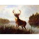 Eight Point Stag By Arthur Fitzwilliam Tait - Art gallery oil painting reproductions