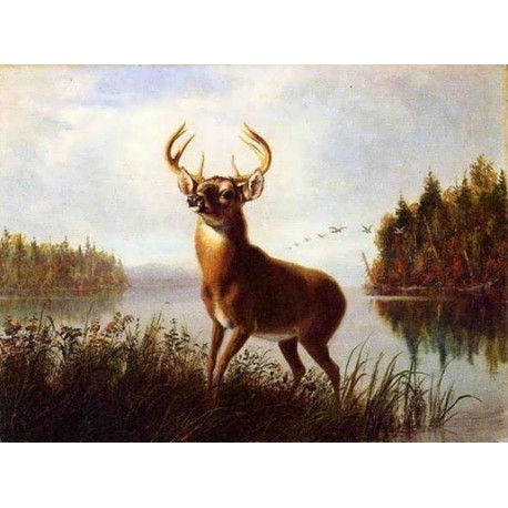 Eight Point Stag By Arthur Fitzwilliam Tait - Art gallery oil painting reproductions