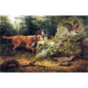 Flushed Ruffed Grouse Shooting By Arthur Fitzwilliam Tait - Art...