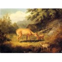 Maternal Affection By Arthur Fitzwilliam Tait - Art gallery oil...