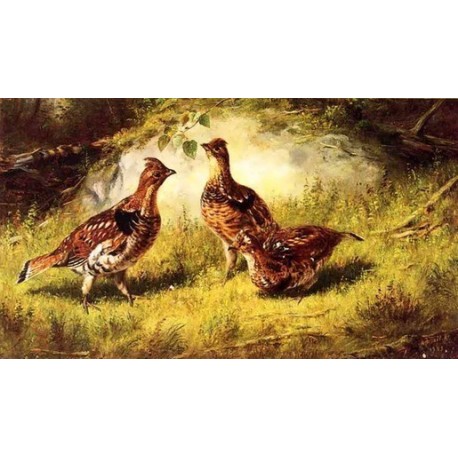 Ruffed Grouse By Arthur Fitzwilliam Tait - Art gallery oil painting reproductions