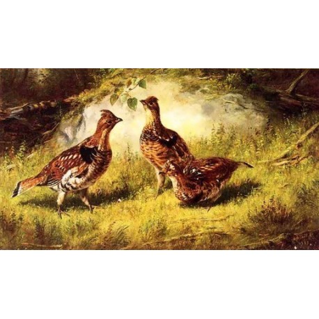 Ruffed Grouse By Arthur Fitzwilliam Tait - Art gallery oil...