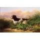 Setter and Woodcock By Arthur Fitzwilliam Tait - Art gallery oil painting reproductions