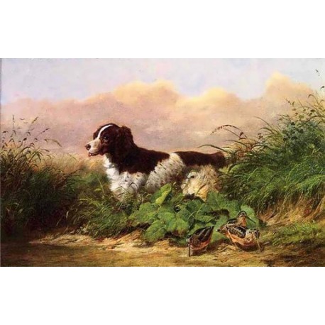 Setter and Woodcock By Arthur Fitzwilliam Tait - Art gallery oil...