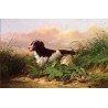 Setter and Woodcock By Arthur Fitzwilliam Tait - Art gallery oil...