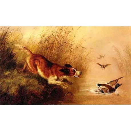 Spaniel Chasing Ducks By Arthur Fitzwilliam Tait - Art gallery oil...