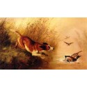 Spaniel Chasing Ducks By Arthur Fitzwilliam Tait - Art gallery oil...