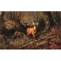 The Adirondacks By Arthur Fitzwilliam Tait - Art gallery oil...
