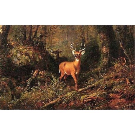 The Adirondacks By Arthur Fitzwilliam Tait - Art gallery oil...