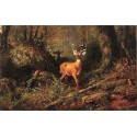 The Adirondacks By Arthur Fitzwilliam Tait - Art gallery oil...