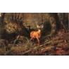 The Adirondacks By Arthur Fitzwilliam Tait - Art gallery oil...