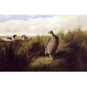 The Challenge By Arthur Fitzwilliam Tait - Art gallery oil...