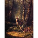 The Forest Adirondacks By Arthur Fitzwilliam Tait - Art gallery...