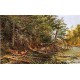 The Outlet of St. Regis Lake By Arthur Fitzwilliam Tait - Art gallery oil painting reproductions