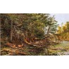 The Outlet of St. Regis Lake By Arthur Fitzwilliam Tait - Art...