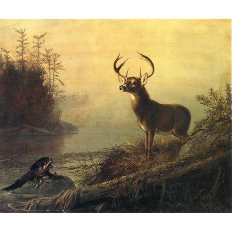 The Surprise  By Arthur Fitzwilliam Tait - Art gallery oil...