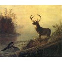 The Surprise  By Arthur Fitzwilliam Tait - Art gallery oil...