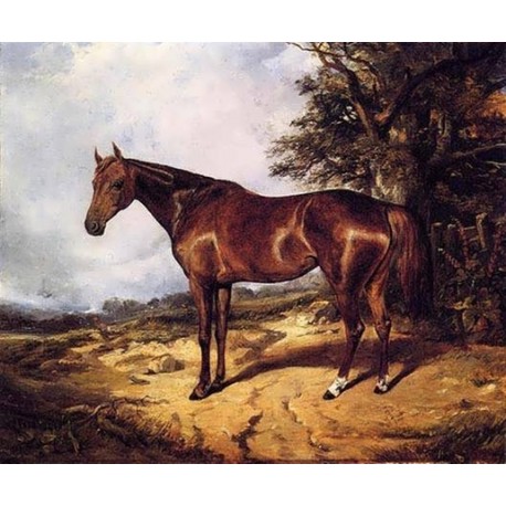 Thoroughbred  By Arthur Fitzwilliam Tait - Art gallery oil...