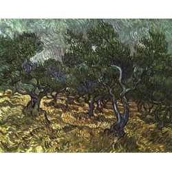 The Olive Grove by Vincent Van Gogh -  Art gallery oil painting...