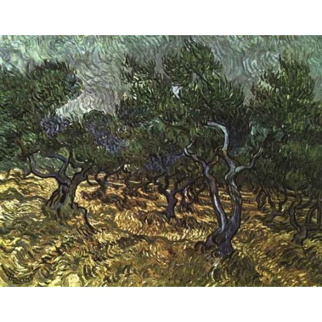 The Olive Grove by Vincent Van Gogh -  Art gallery oil painting...
