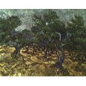 The Olive Grove by Vincent Van Gogh -  Art gallery oil painting...
