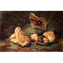 Young Chickens By Arthur Fitzwilliam Tait - Art gallery oil painting reproductions