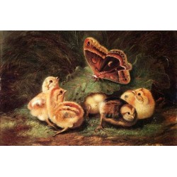 Young Chickens By Arthur Fitzwilliam Tait - Art gallery oil...