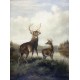 Buck and Doe By Arthur Fitzwilliam Tait - Art gallery oil painting reproductions