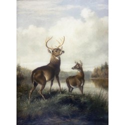 Buck and Doe By Arthur Fitzwilliam Tait - Art gallery oil painting...