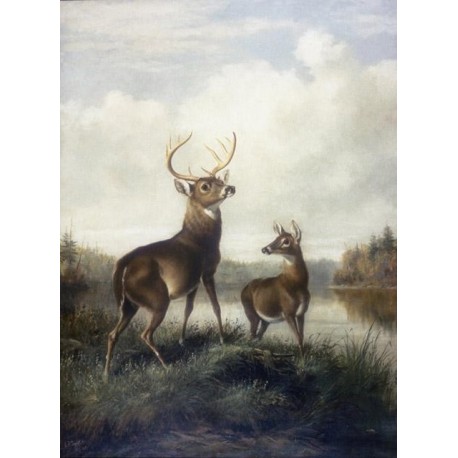 Buck and Doe By Arthur Fitzwilliam Tait - Art gallery oil painting reproductions