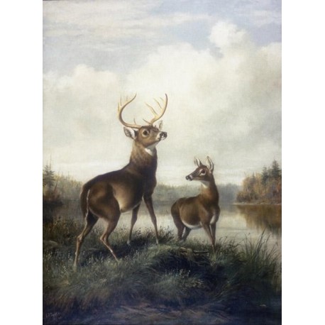 Buck and Doe By Arthur Fitzwilliam Tait - Art gallery oil painting...