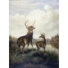 Buck and Doe By Arthur Fitzwilliam Tait - Art gallery oil painting...