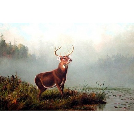 Buck at Bay By Arthur Fitzwilliam Tait - Art gallery oil painting...