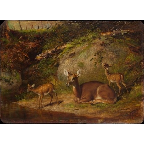 Doe and Two Fawns By Arthur Fitzwilliam Tait - Art gallery oil...