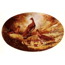 Grouse Family By Arthur Fitzwilliam Tait - Art gallery oil...
