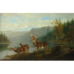 Landscape with Deer By Arthur Fitzwilliam Tait - Art gallery oil...