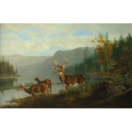 Landscape with Deer By Arthur Fitzwilliam Tait - Art gallery oil painting reproductions