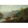 Landscape with Deer By Arthur Fitzwilliam Tait - Art gallery oil...