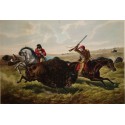 Life on the Prairie - The Buffalo Hunt By Arthur Fitzwilliam Tait...
