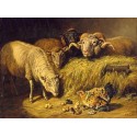 Maternal Solicitude By Arthur Fitzwilliam Tait - Art gallery oil...