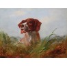 On Point II By Arthur Fitzwilliam Tait - Art gallery oil painting...