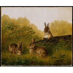Rabbits on a Log  By Arthur Fitzwilliam Tait - Art gallery oil...