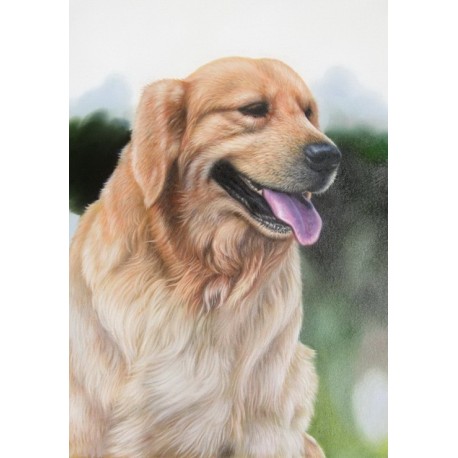 Dog  Oil Painting 2 - Art gallery Oil Painting Reproductions