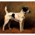 Dog Oil Painting 4 - Art Gallery  Oil Painting reproductions
