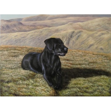 Dog Oil Painting 6 - Art Gallery Oil Painting Reproductions
