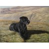Dog Oil Painting 6 - Art Gallery  Oil Painting Reproductions