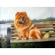 Dog Oil Painting 11 - Art Gallery Oil Painting Reproductions